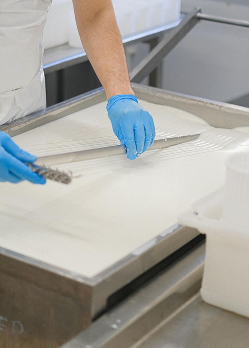 Dairy Heat Exchangers